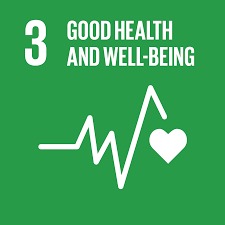 UN Sustainable Development Goal 1